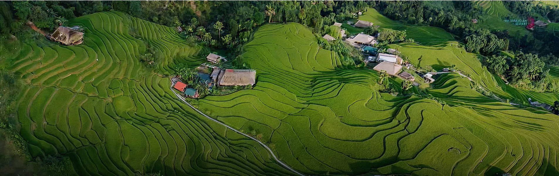 Happy People - Happy Planet